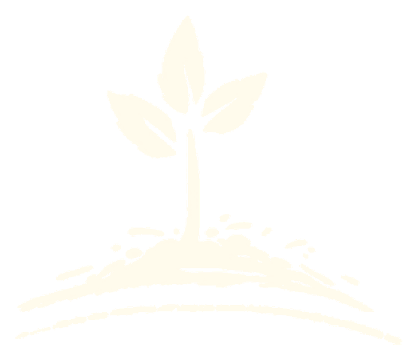 Startseite