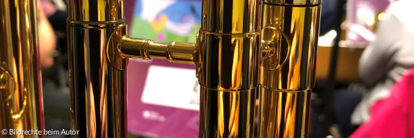 Bläserinnen und Bläser des Posaunenchors mit Blechblasinstrumenten