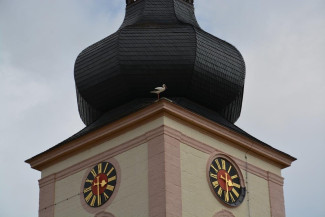 Turmspitze der Maria-Kilian-Kirche mit Uhr